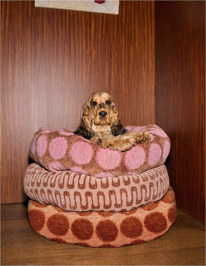 Panier rond à pois pour chien