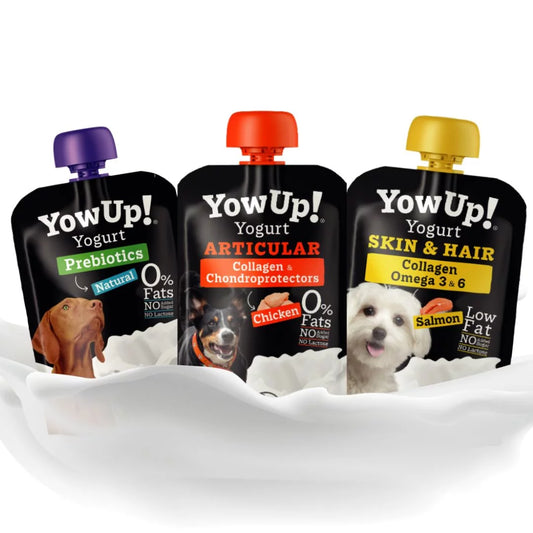 Yaourt en Gourde pour Chiens - YowUp