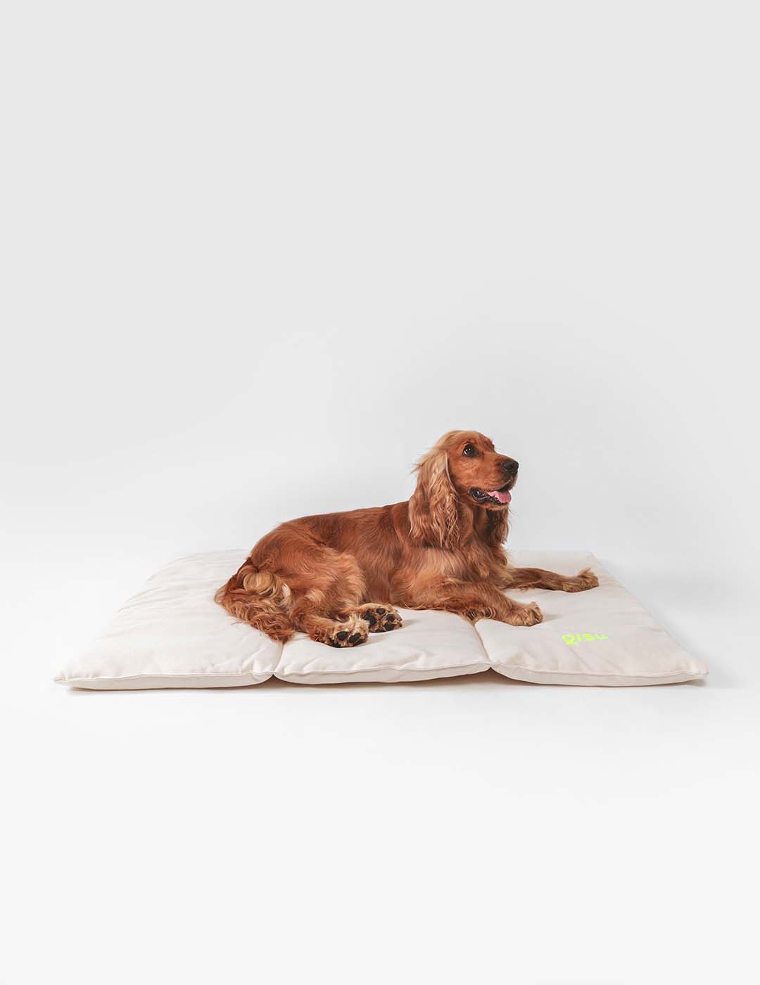 Nomad Bed