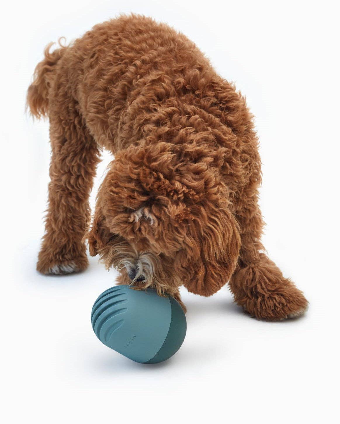 The Game™ Puzzle Feeder