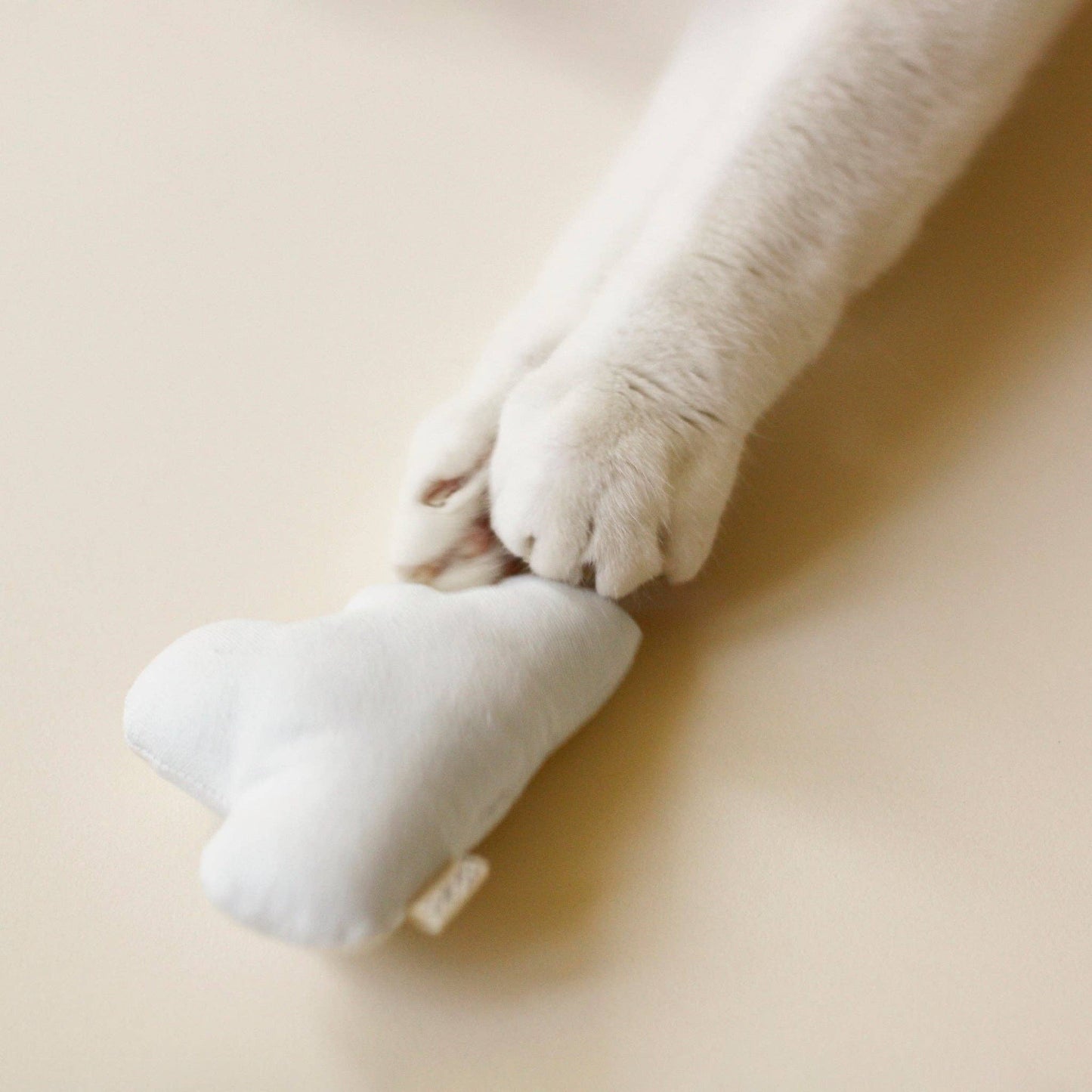 Jouet à l'Herbe à Chat Nuage