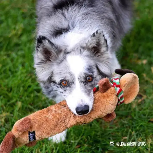 Renne de Noël couinant