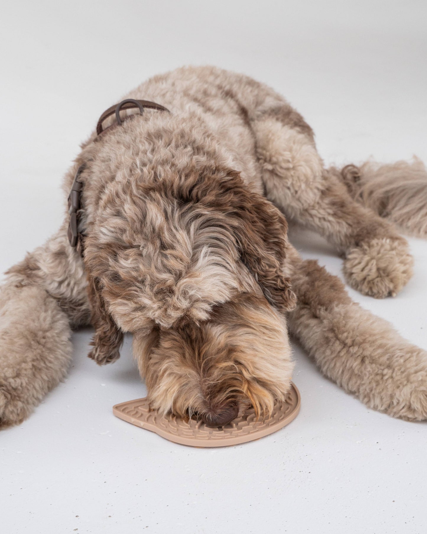 Tapis à lécher Clever Cat Enrichment