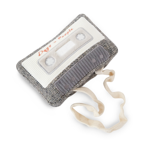 Jouet de Fouille Cassette