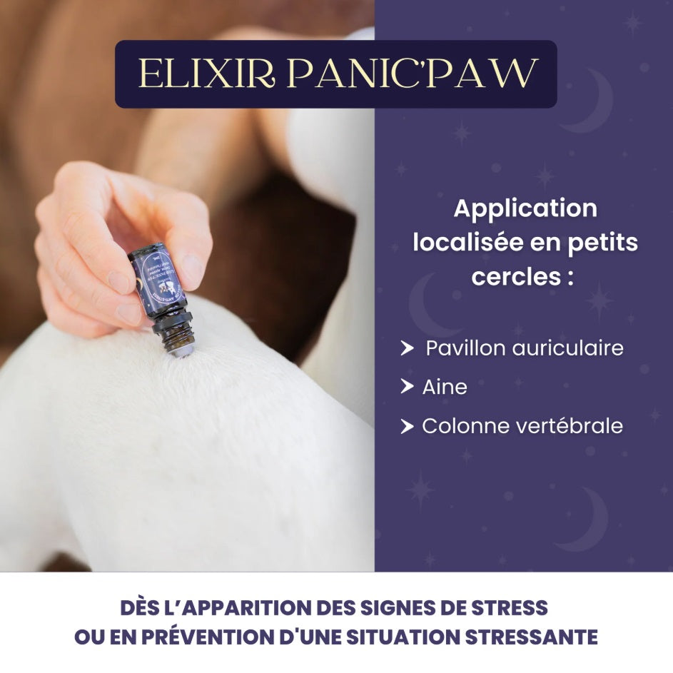 Roll-on anti-stress chien : Panic’paw