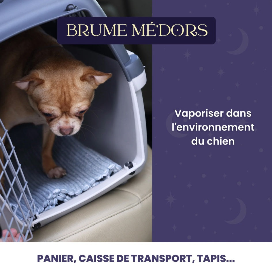Brume relaxante Mé’dors : l’anti-stress pour chien naturel et apaisant