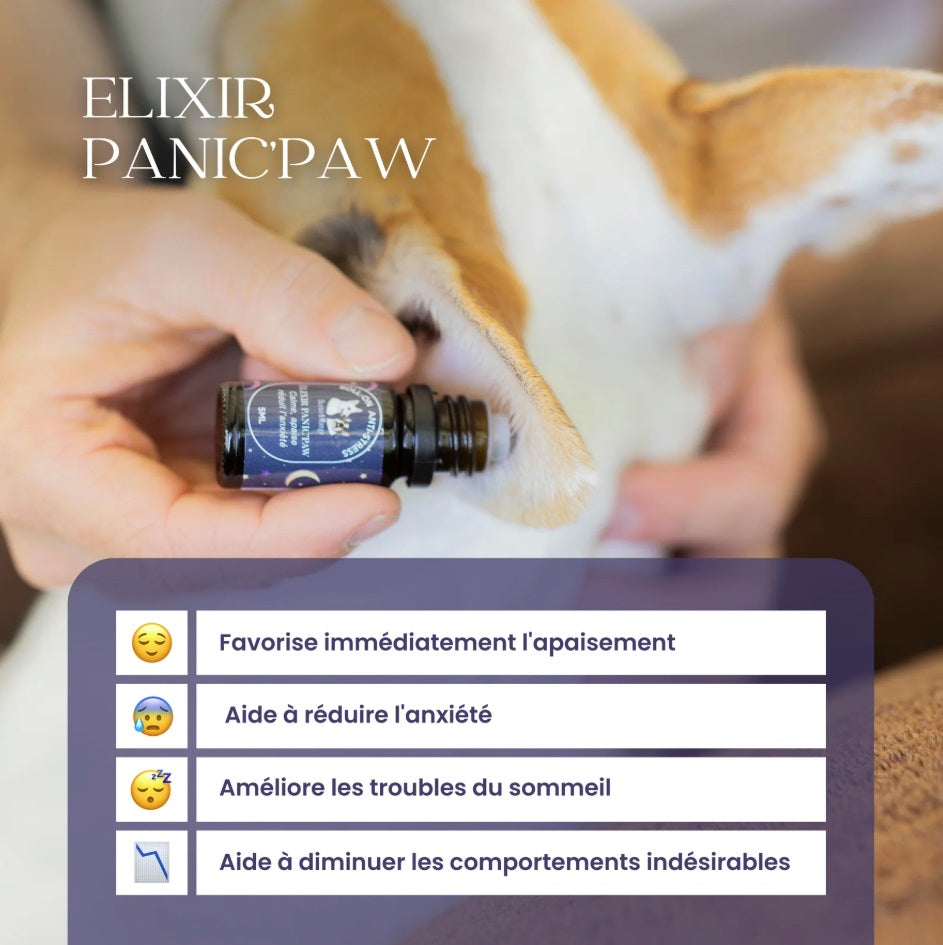 Roll-on anti-stress chien : Panic’paw