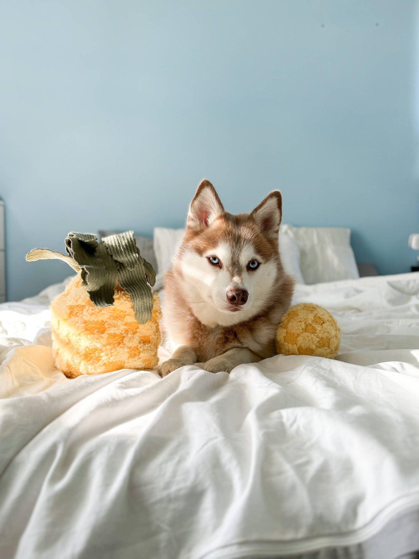 Ananas Magique 2 en 1