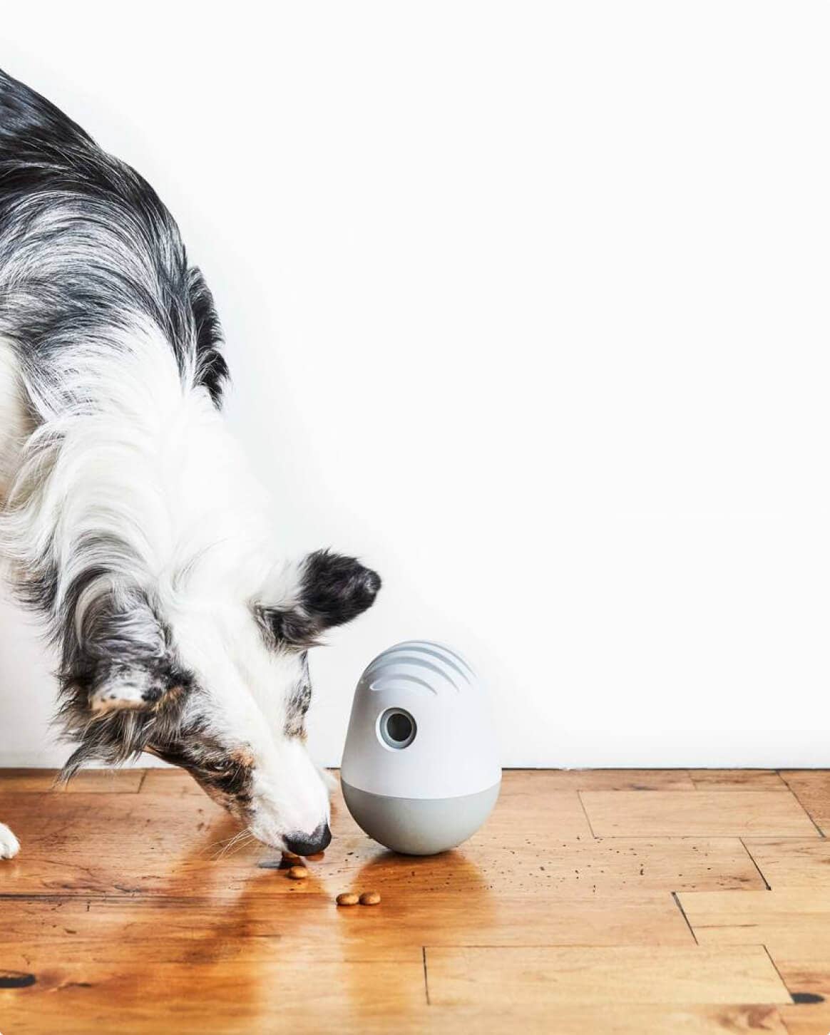 The Game™ Puzzle Feeder