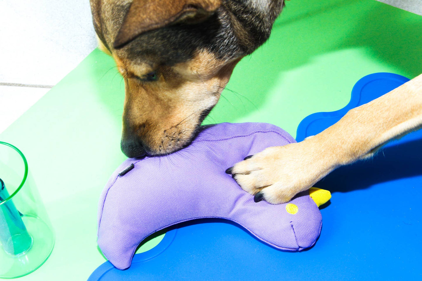 Jouet pour chien The Fritz Bird