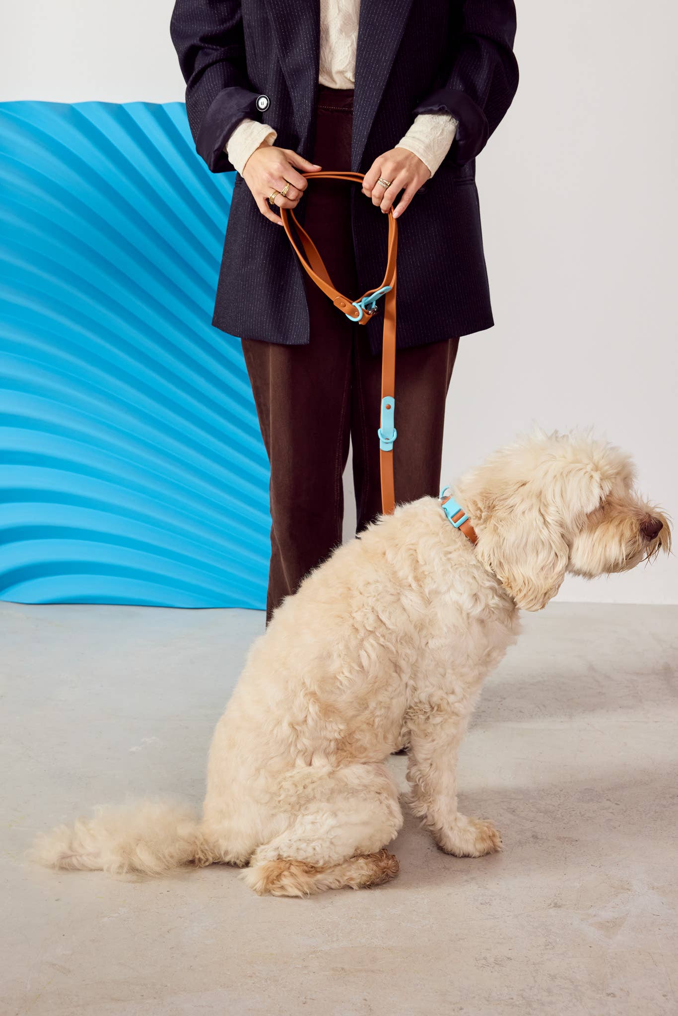 La laisse pour chien Fritz étanche, facile à nettoyer, réglable: Choco Blue / Norme