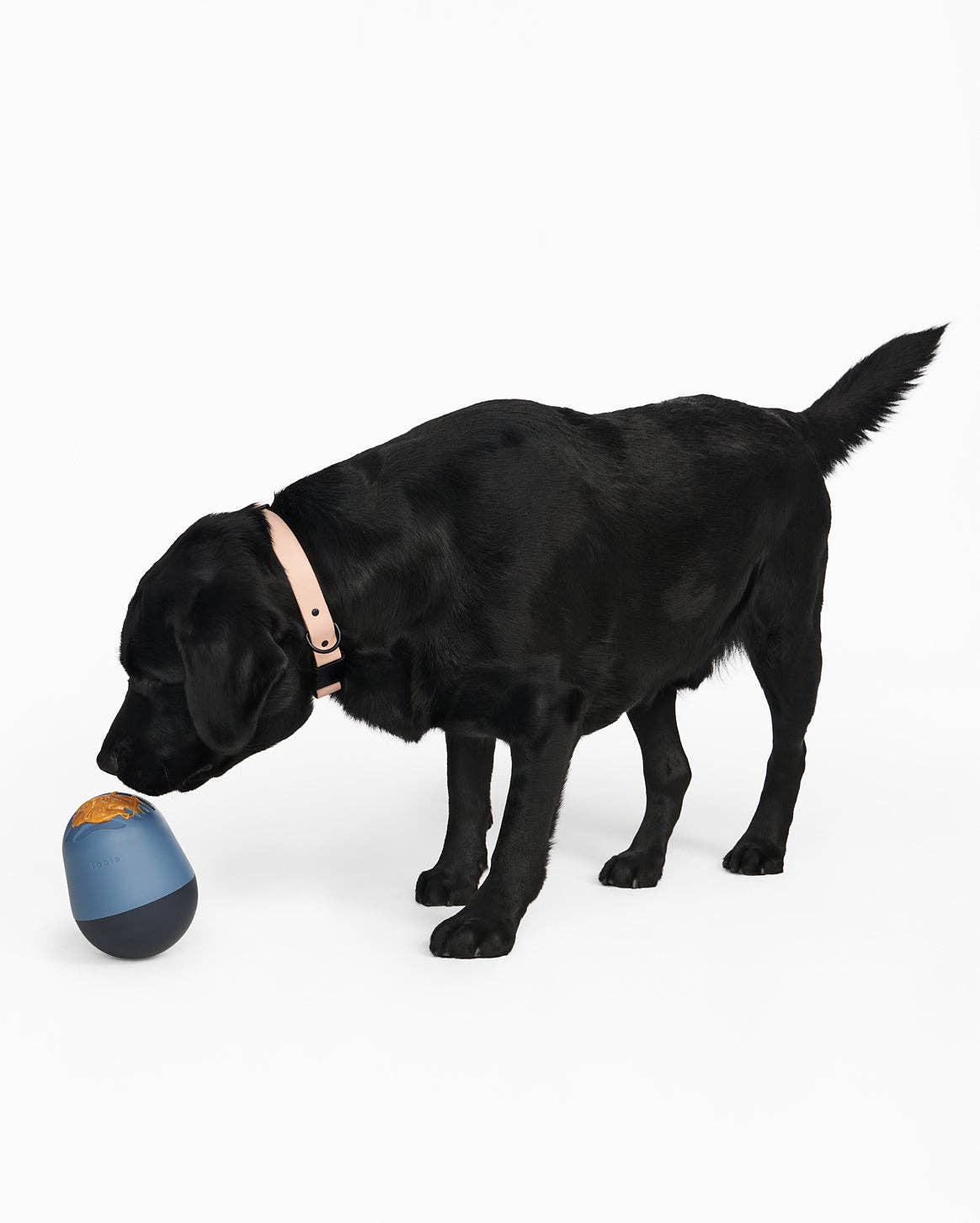 The Game™ Puzzle Feeder