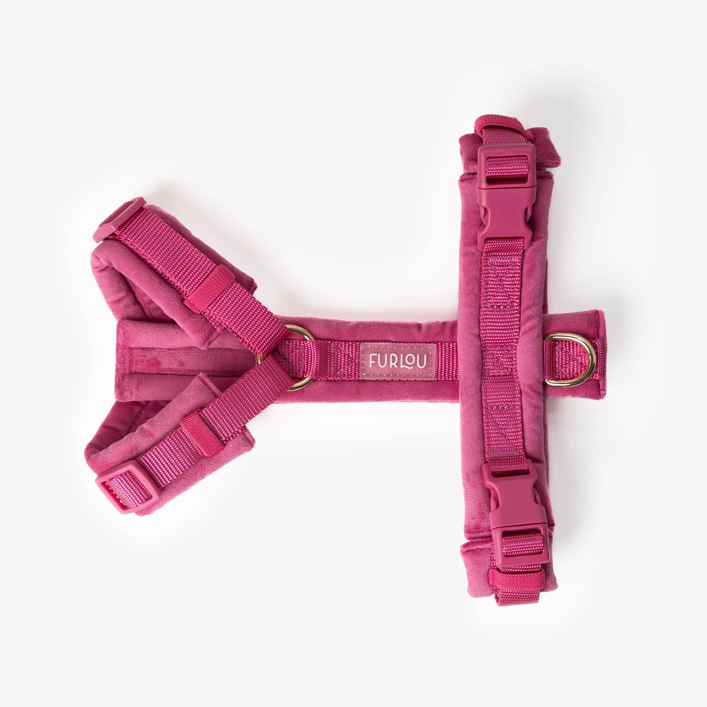 Harnais pour chien en velours