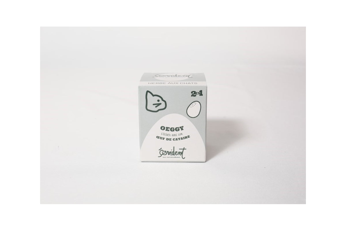 Œuf Herbe à Chat OEGGY