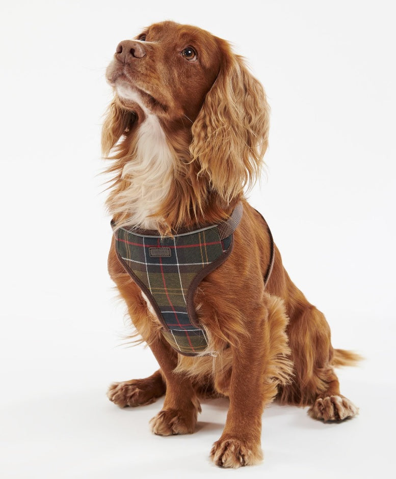Harnais Tartan BARBOUR