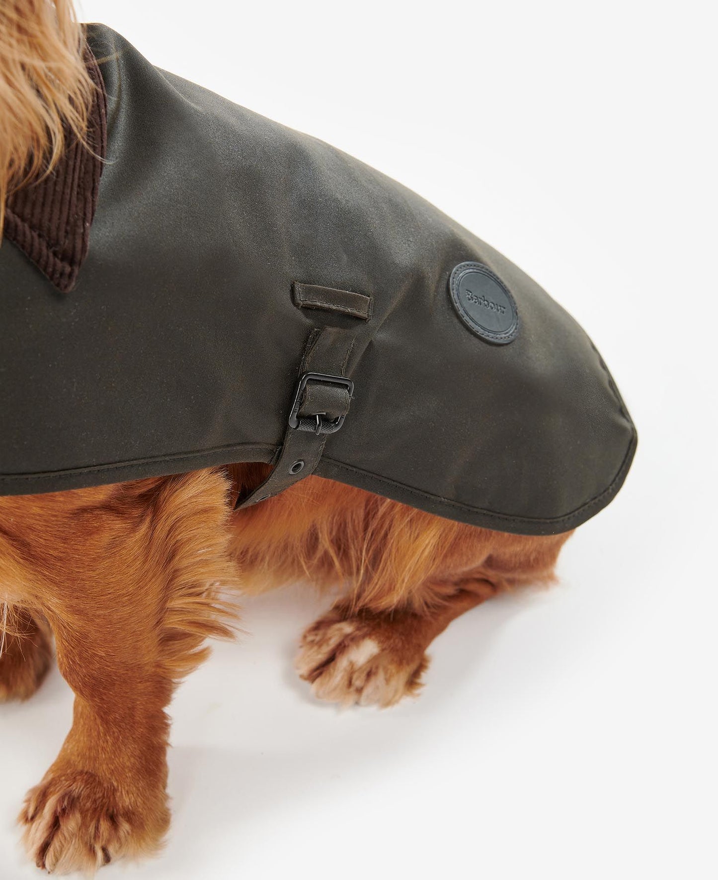 Wax olive dog coat BARBOUR