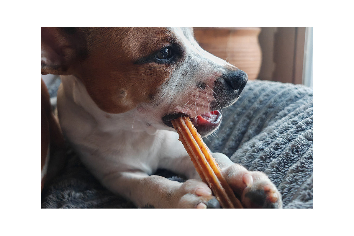 Dental Stick STITCH