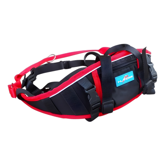 Baudrier de Canicross Aircross Compétition