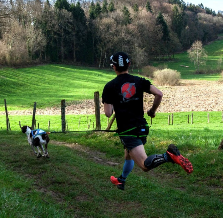 Baudrier de Canicross Aircross Compétition