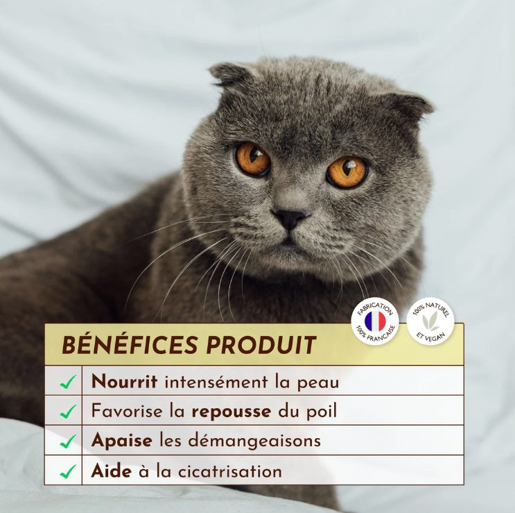 Baume Naturel Régénérant pour Chat Chaman
