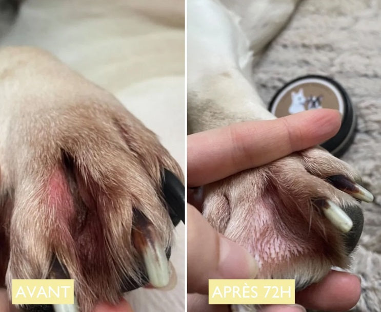 Baume anti démangeaison pour chien : Le Miraculeux