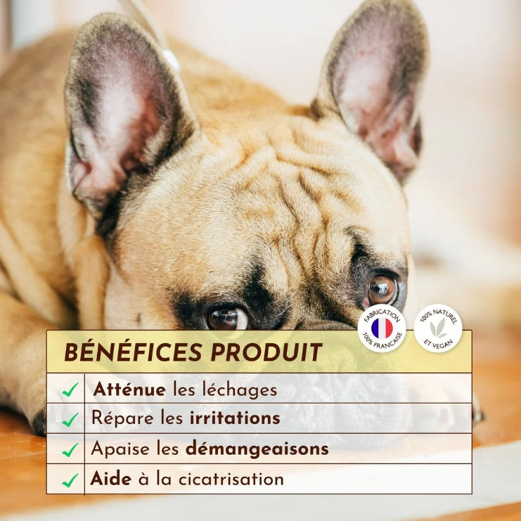 Baume anti démangeaison pour chien : Le Miraculeux