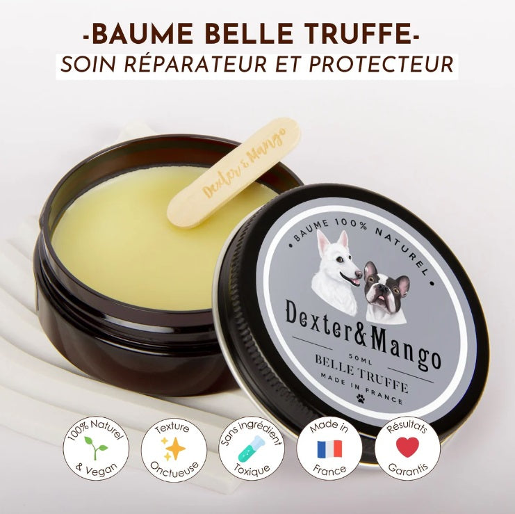Baume truffe chien : Belle truffe