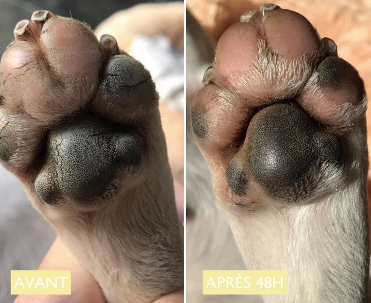 Baume coussinet chien : Doux coussinets