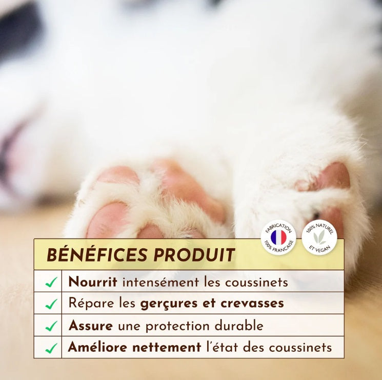 Coussinet de chien abimé : Stick Doux coussinets