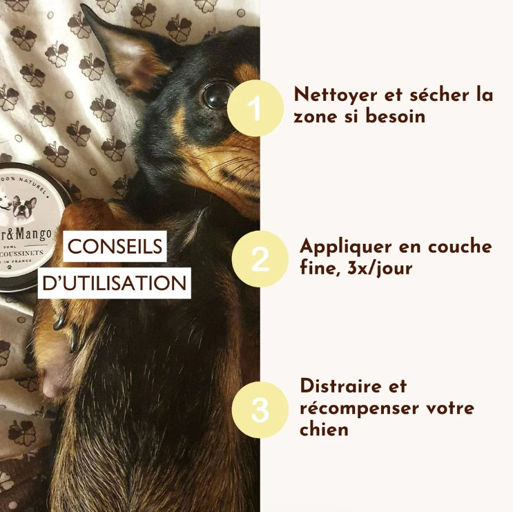 Baume coussinet chien : Doux coussinets
