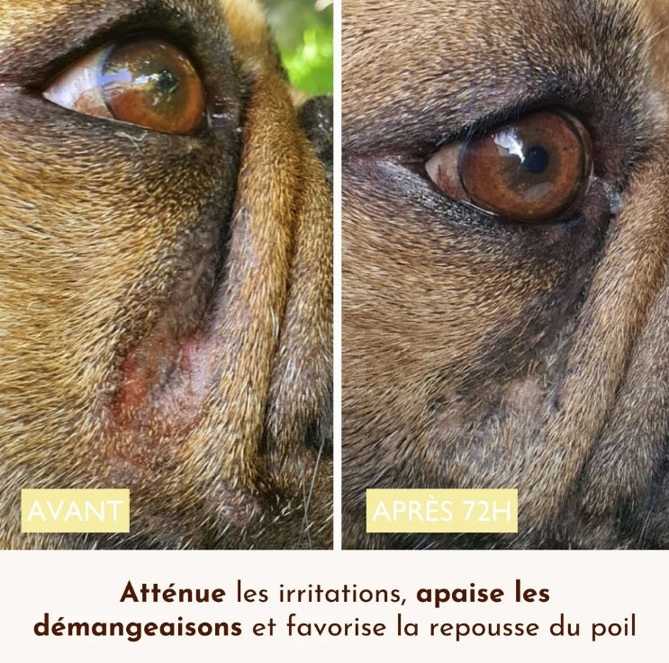 Baume pour Chien Peau de Pêche