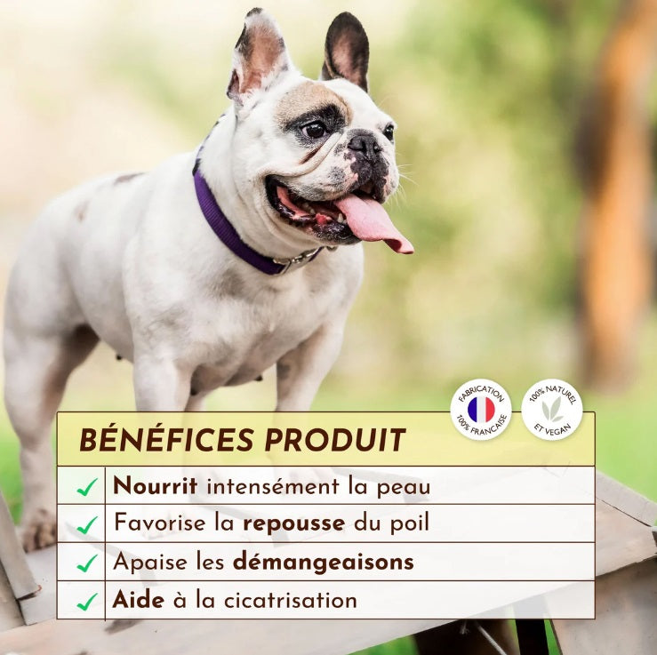 Baume pour Chien Peau de Pêche