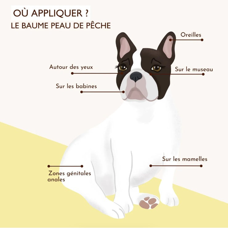 Baume pour Chien Peau de Pêche