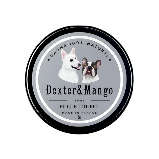 Baume truffe chien : Belle truffe
