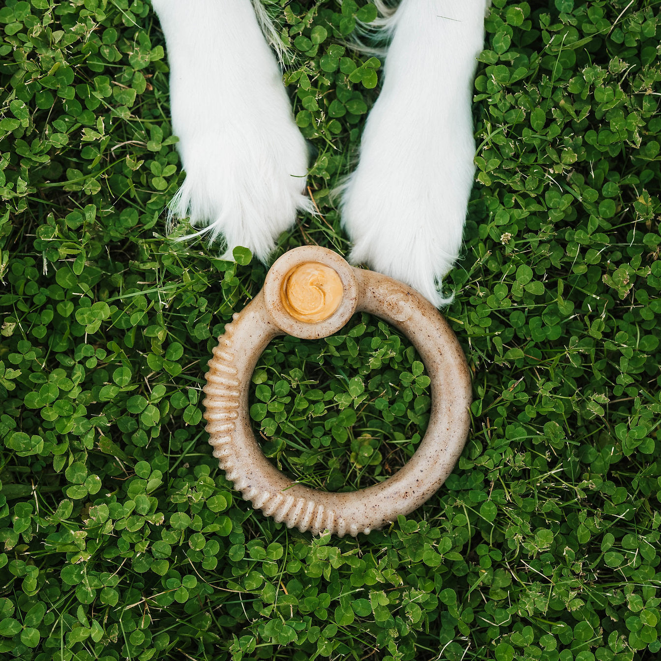 Ring Benebone