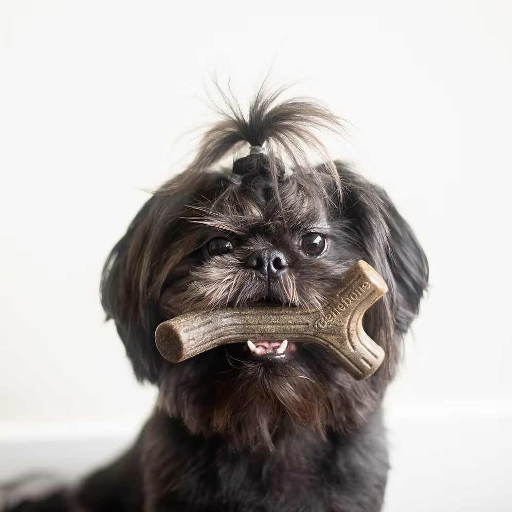 Stick Nylon Bacon