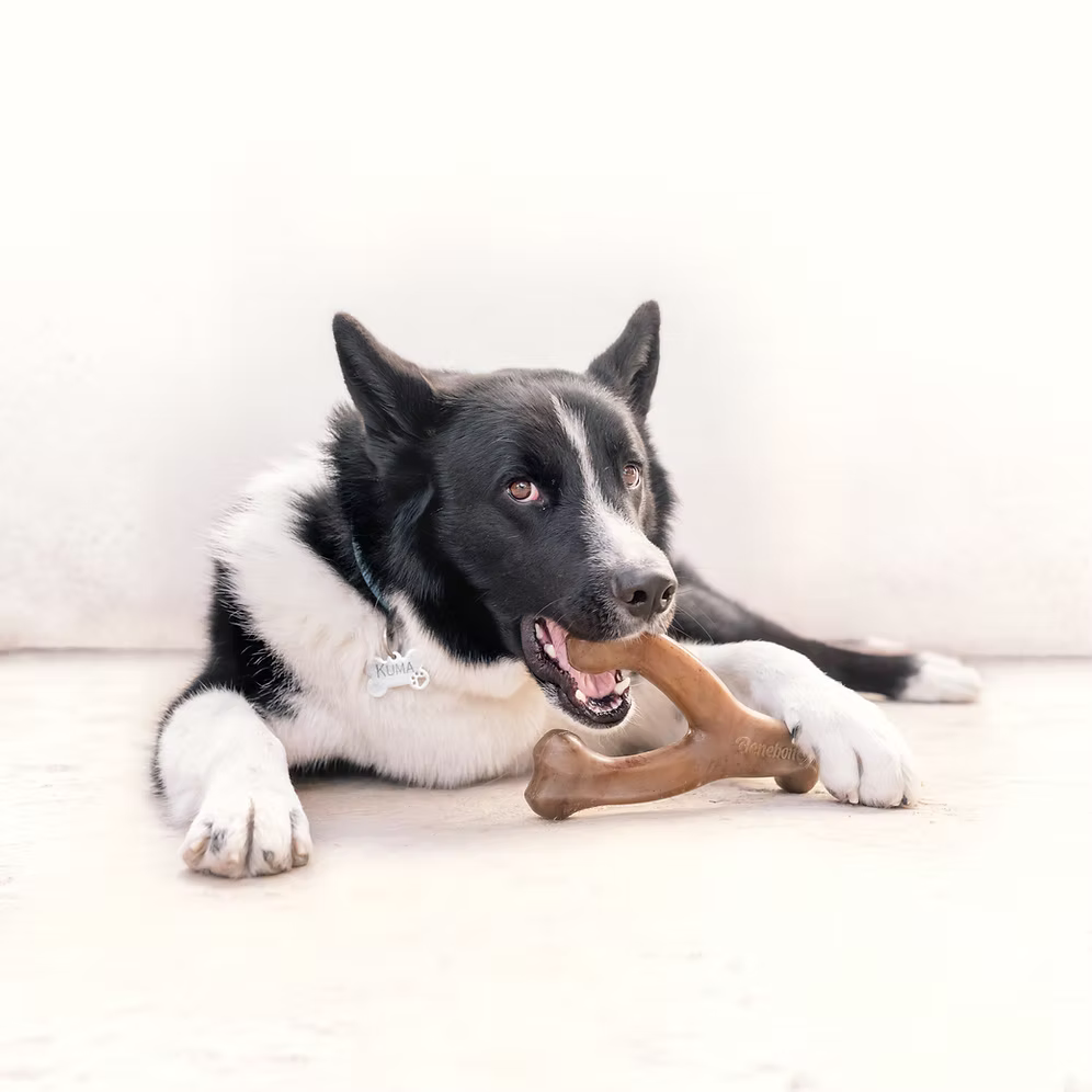 Wishbone Bacon