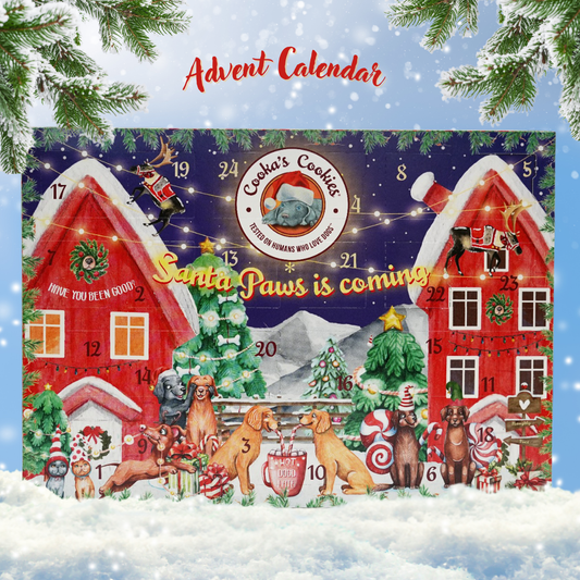 Calendrier de l'Avent de Noël pour chiens (édition premium)