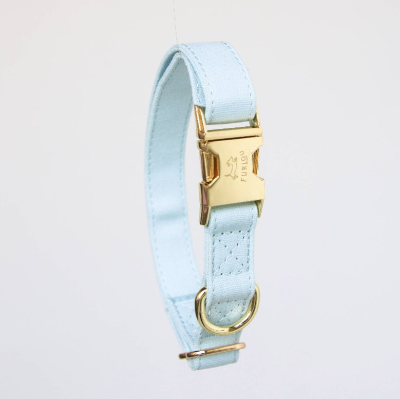 Collier pour Chien FURLOU