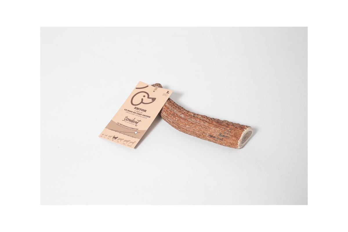 Bois de Cerf entier EKTOR