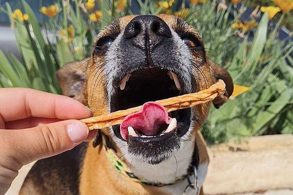 Stick Foie de Volaille SUZY