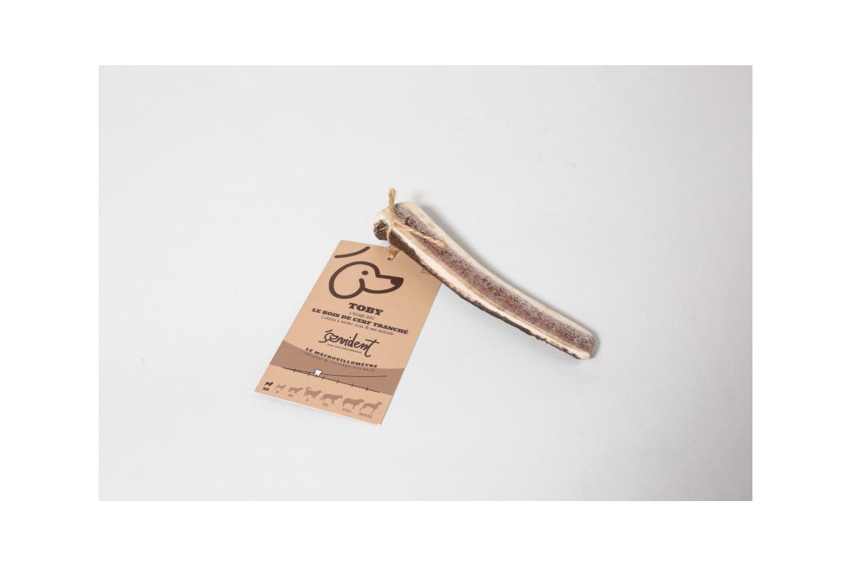 Bois de Cerf Tranché TOBY