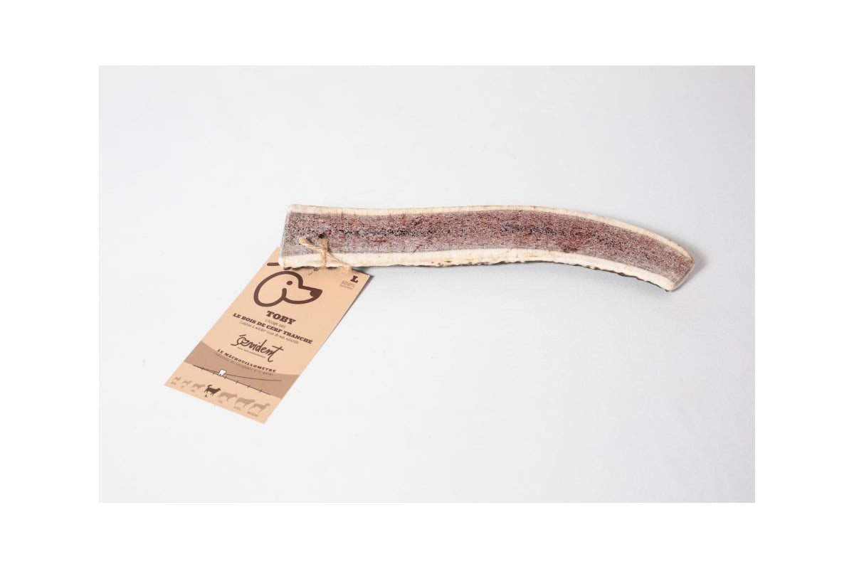 Bois de Cerf Tranché TOBY