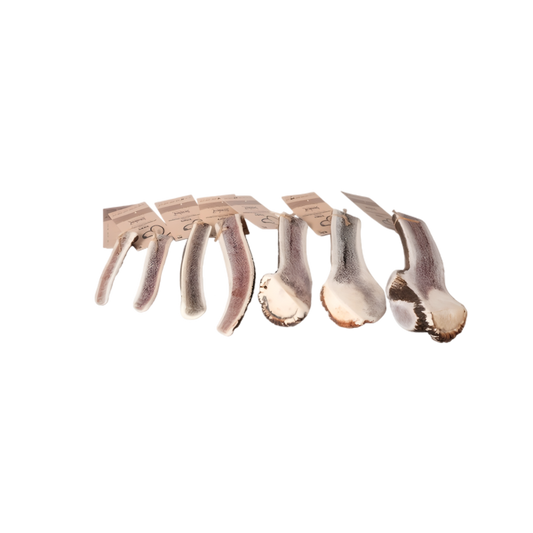 Bois de Cerf Tranché TOBY