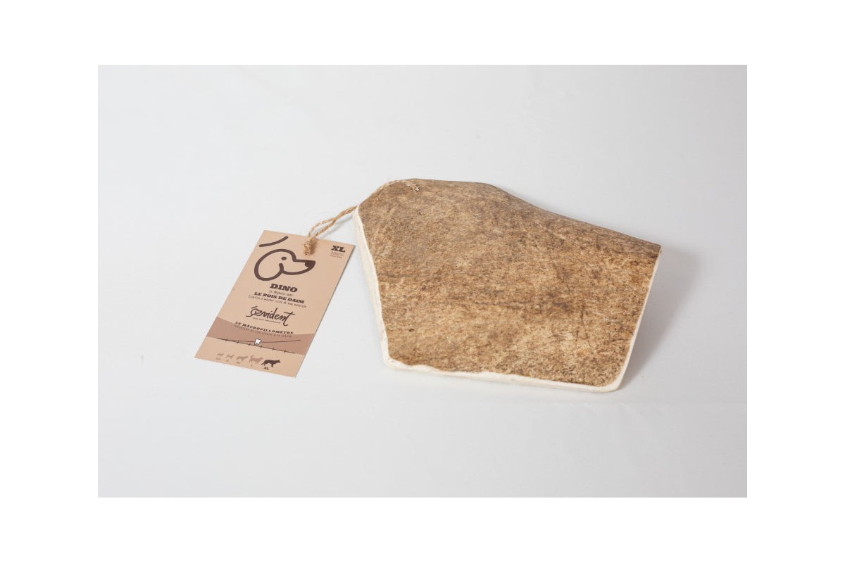 Bois de Daim DINO
