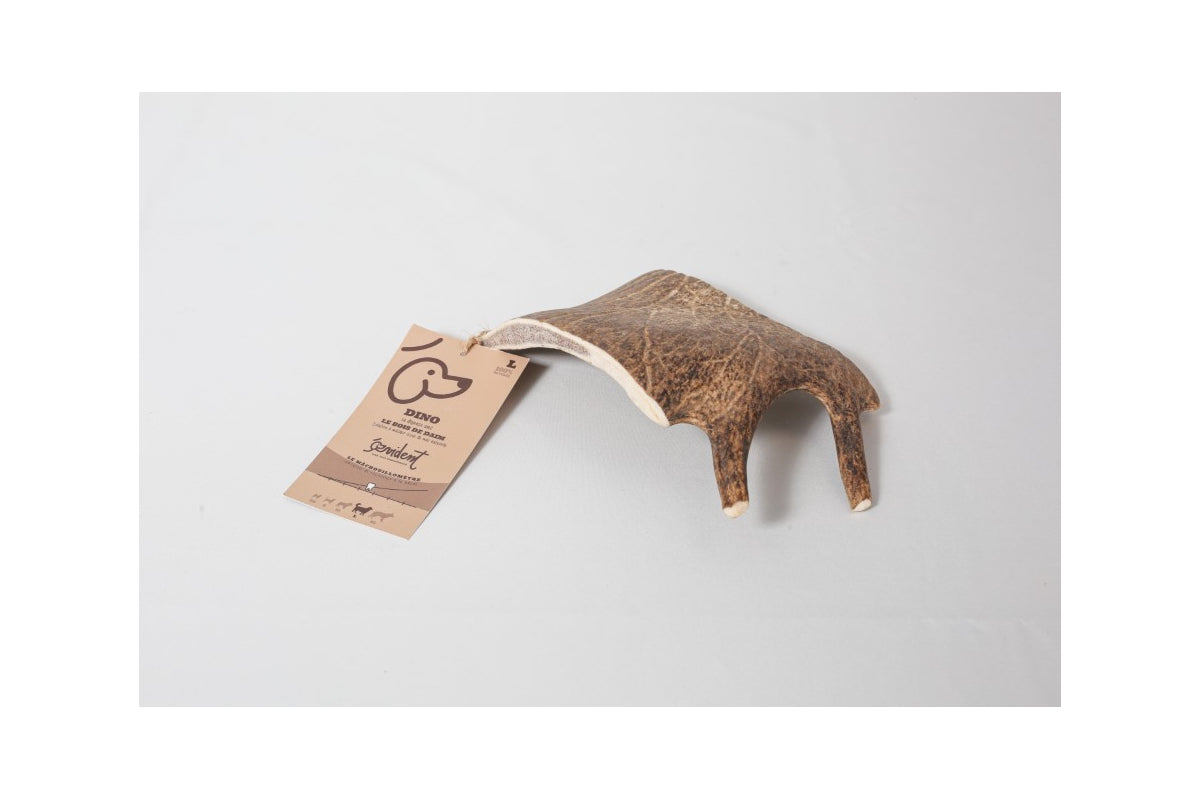 Bois de Daim DINO