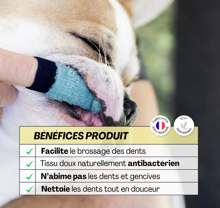 Brosse à Dents pour Chiens et Chats