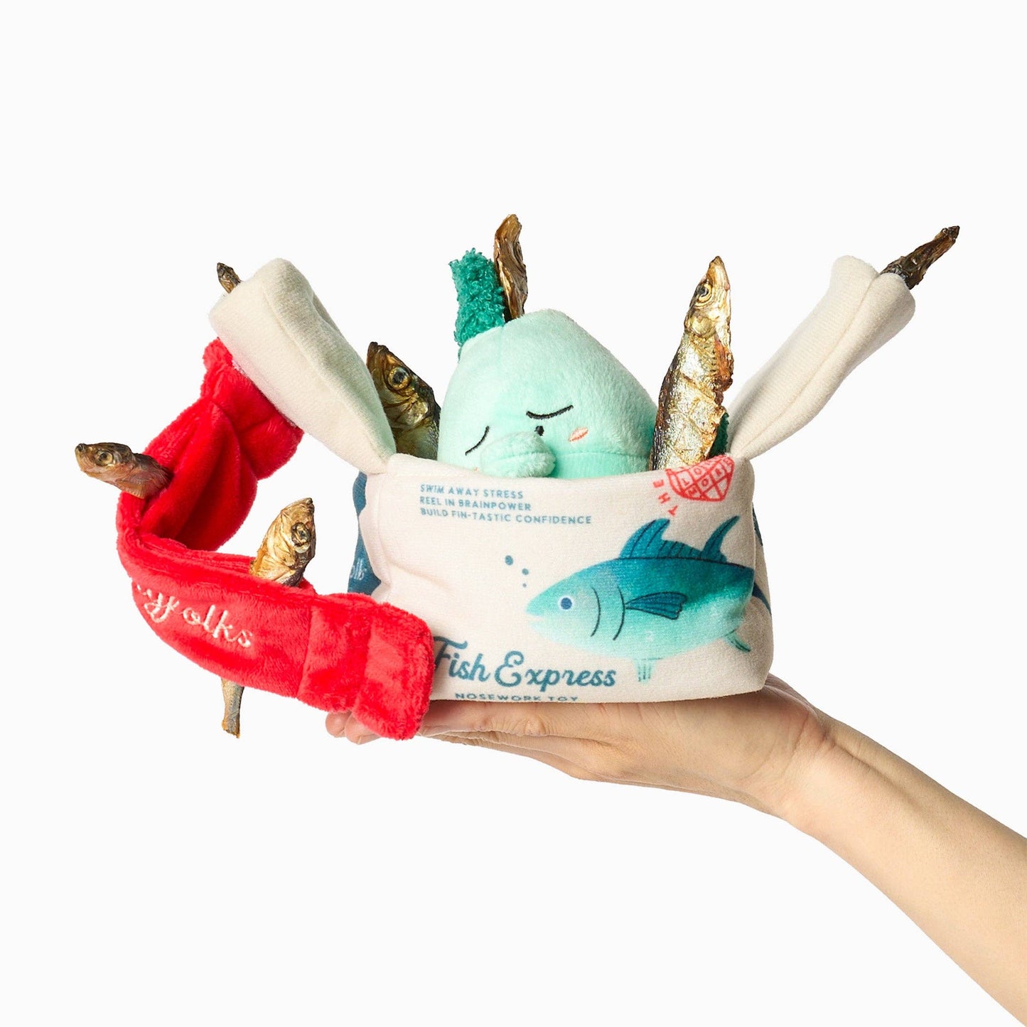 Jouet de fouille - Fish Express