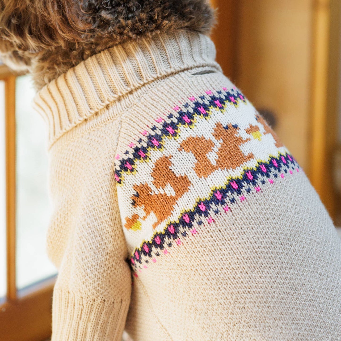 Pull tricoté pour chien avec motif écureuil