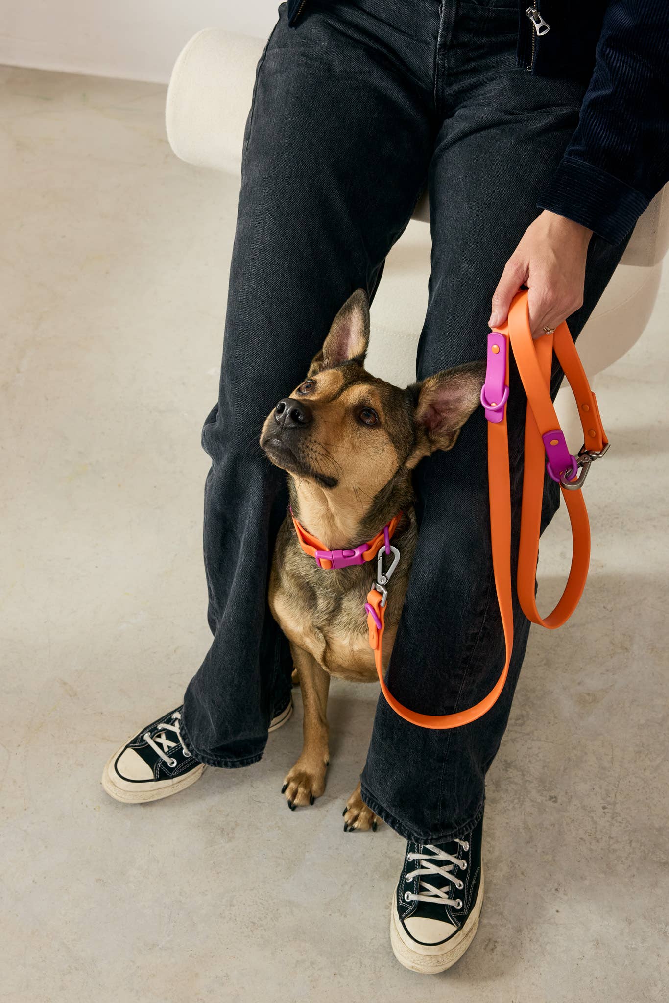 Laisse Multiposition pour Chien Imperméable